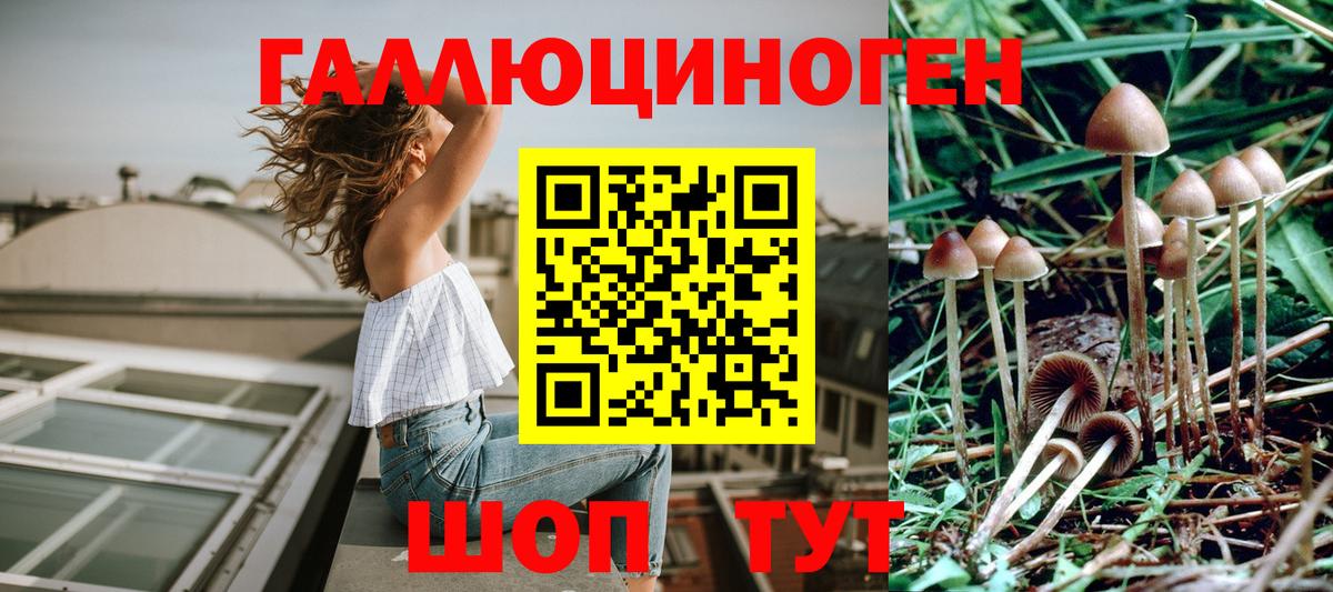 Пугачёв  Галлюциногенные грибы GOLDEN TEACHER  Вход с VPN 
